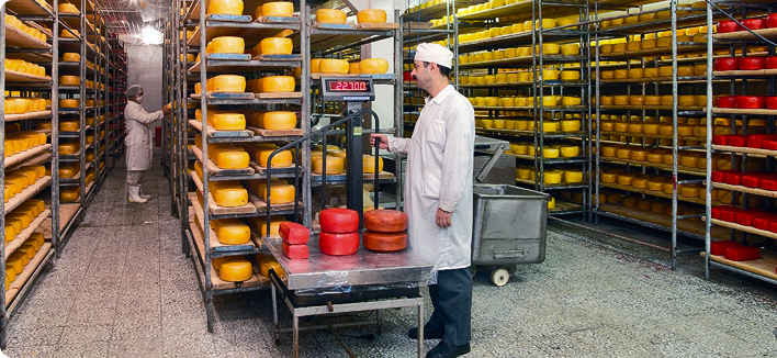 پایداری در سولیکو