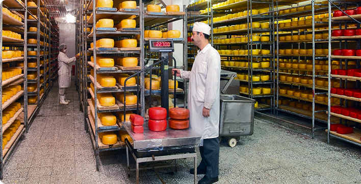 پایداری در سولیکو