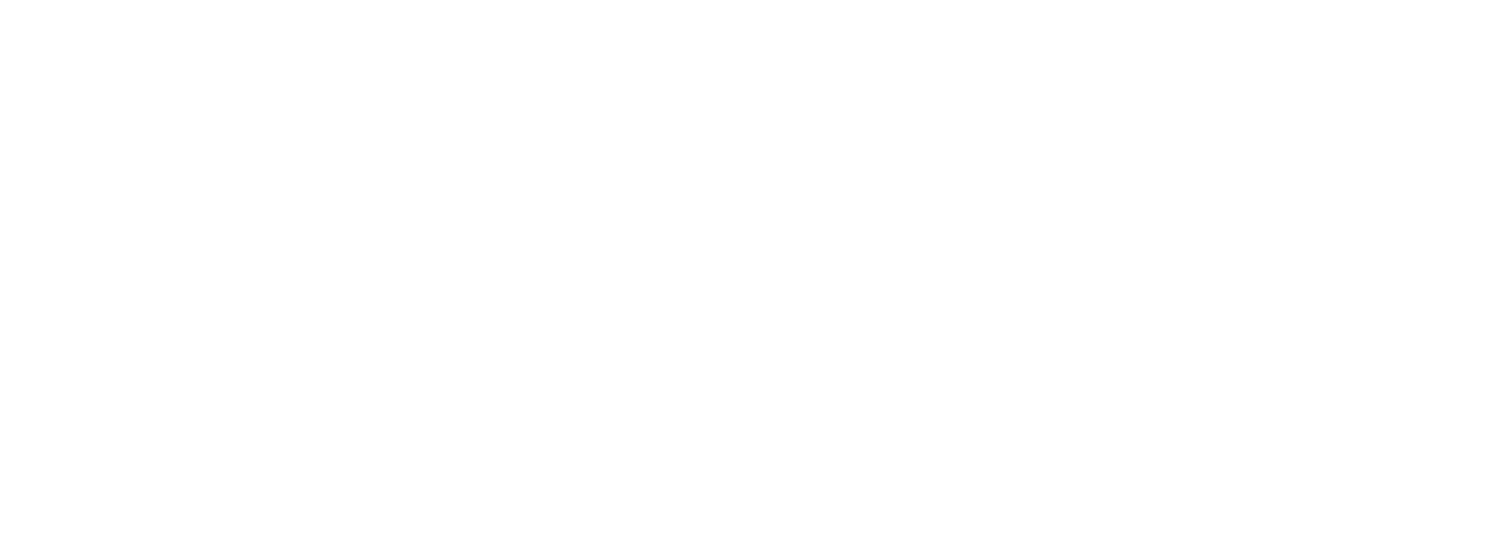 گروه سولیکو